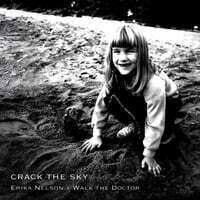 Crack the Sky